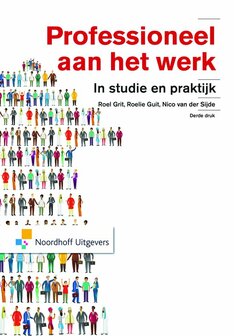 Professioneel aan het werk | 9789001853303