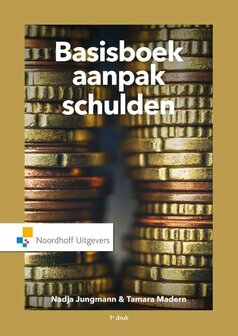 Basisboek aanpak schulden | 9789001875657