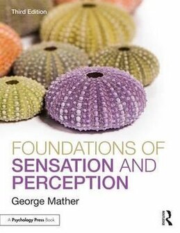 Foundations of Sensation and Perception | 9781848723443