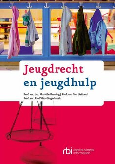 Jeugdrecht en jeugdhulp | 9789035248663