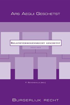 9789069169064 | Ars Aequi Geschetst - Relatievermogensrecht geschetst