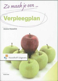 Zo maak je een verpleegplan! | 9789001804961