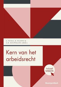 Kern van het arbeidsrecht | 9789462905061