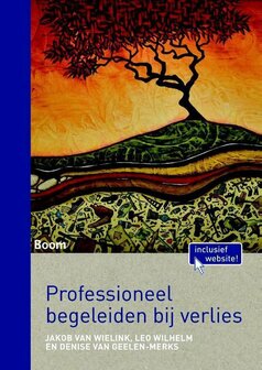 Professioneel begeleiden bij verlies | 9789089539885