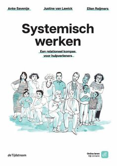 Systemisch werken | 9789058983169