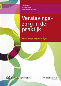 Verslavingszorg in de praktijk | 9789035238060