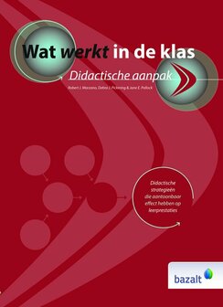 Wat werkt in de klas | 9789461181848