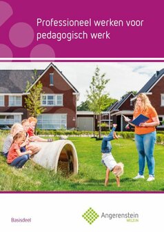 Professioneel werken voor pedagogisch werk | 9789037244069